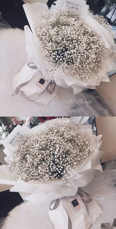 0 245 符11  发布到  壁纸 图片评论 0条  收集   点赞  评论  捧花