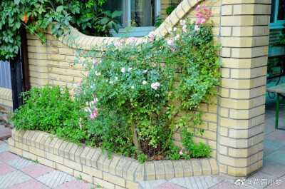小花坛边缘设计小诀窍:1使用砖块,2种上观赏草,3铺设石块,4