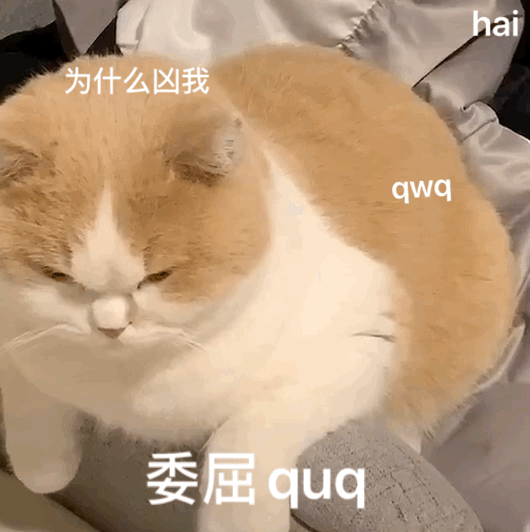 530_532gif 动态图 动图
