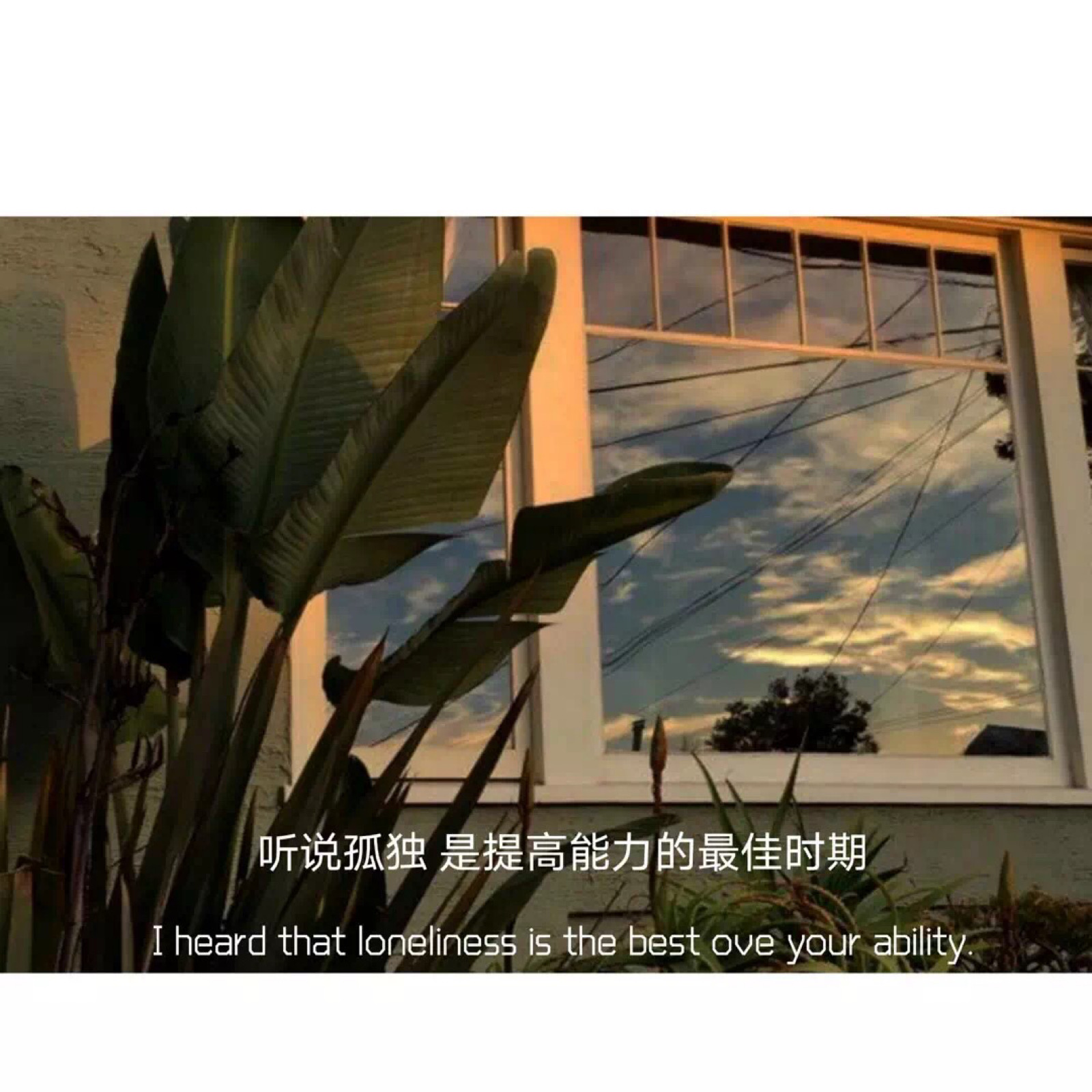 文字句子背景图