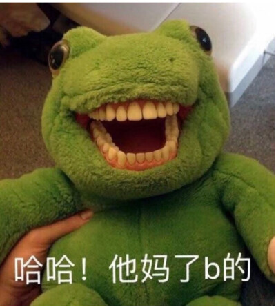 这个戴假牙的青蛙到底叫什么!朋友们还有别的表情包嘛求求