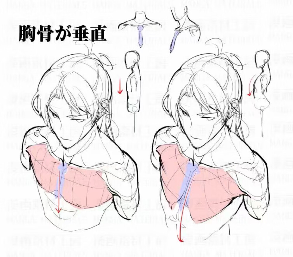 动漫脖子和肩膀的画法图片
