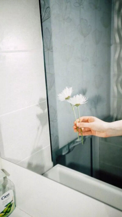 花草城市/ins/壁纸/背景图/侵权删
