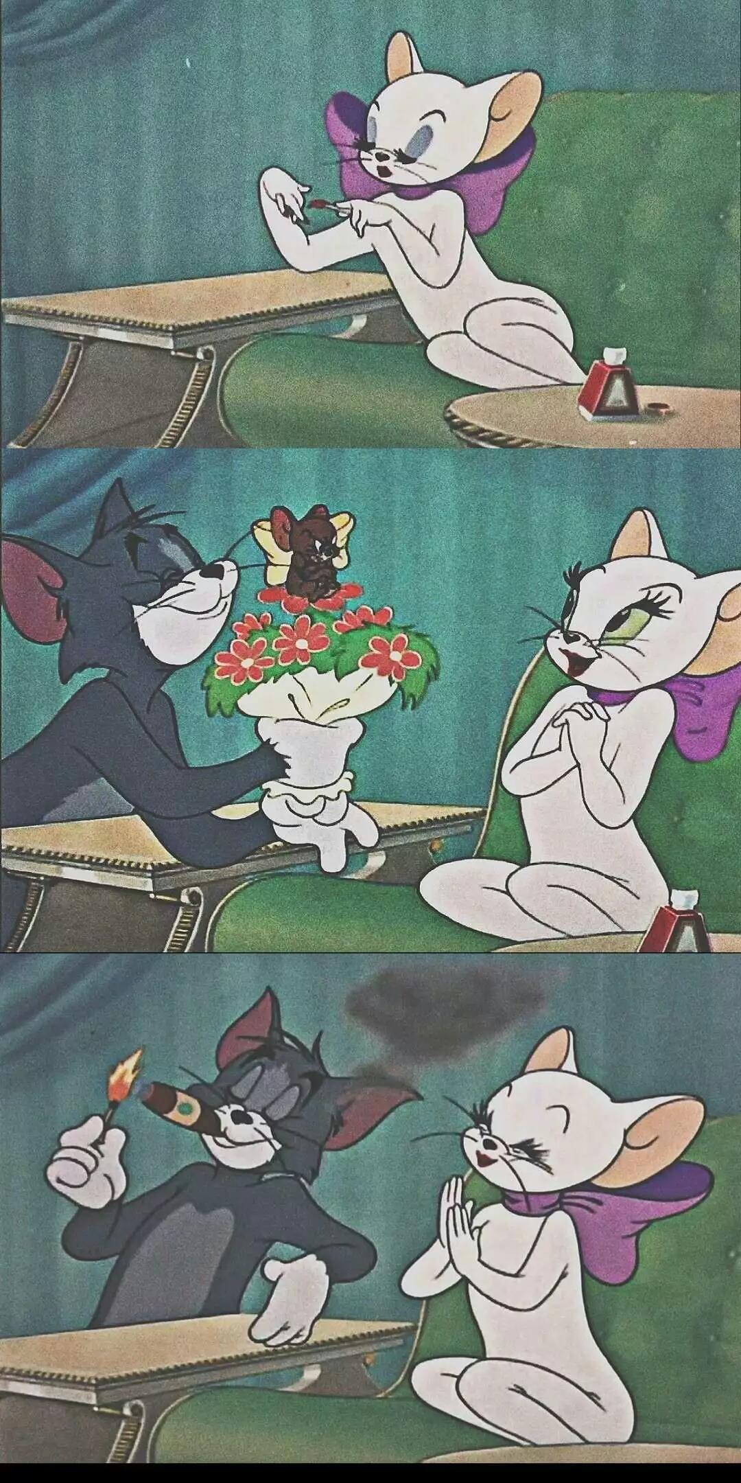猫和老鼠 /ins/壁纸/侵权删