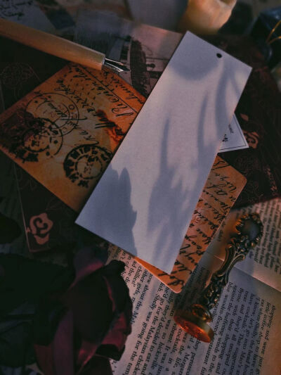 高质量举牌素材不泛滥 qq群1031040199 群内素材不泛滥持续更新