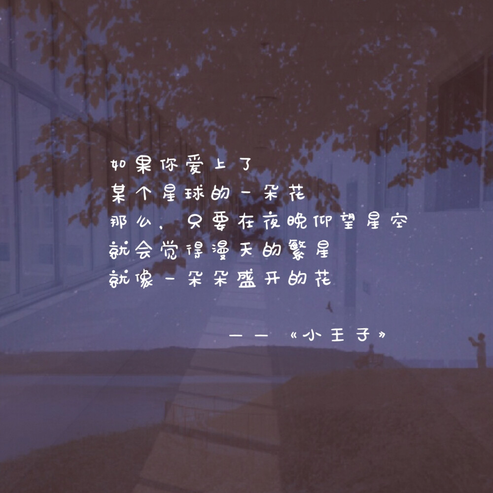 《小王子》句子|说说|文字|语录|台词|摘抄|唯美|意境|颓丧|简短|感情