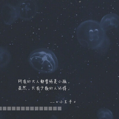 安东尼·德·圣艾修伯里《小王子》句子|说说|文字|语录|台词