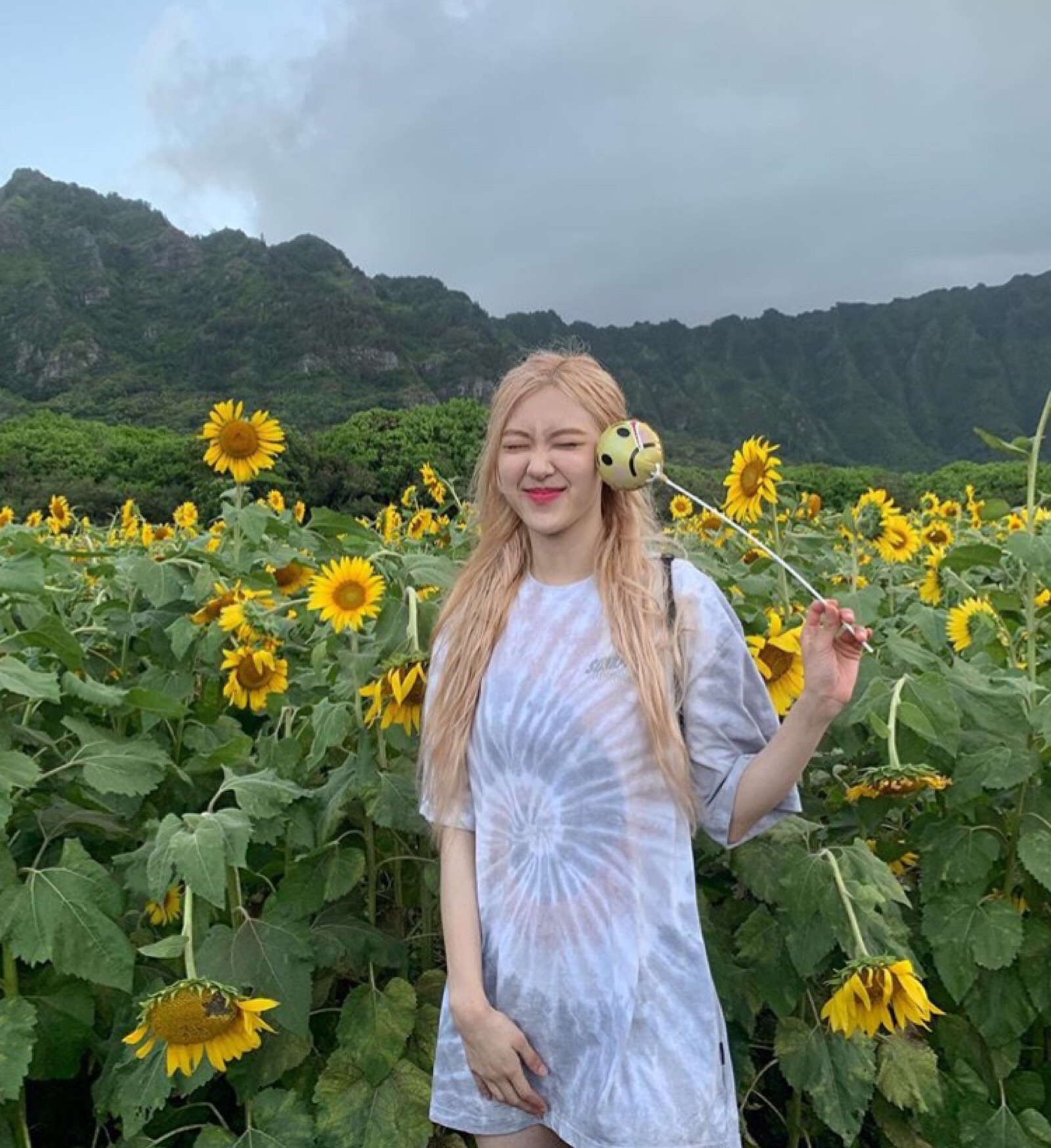 rose - 堆糖,美图壁纸兴趣社区