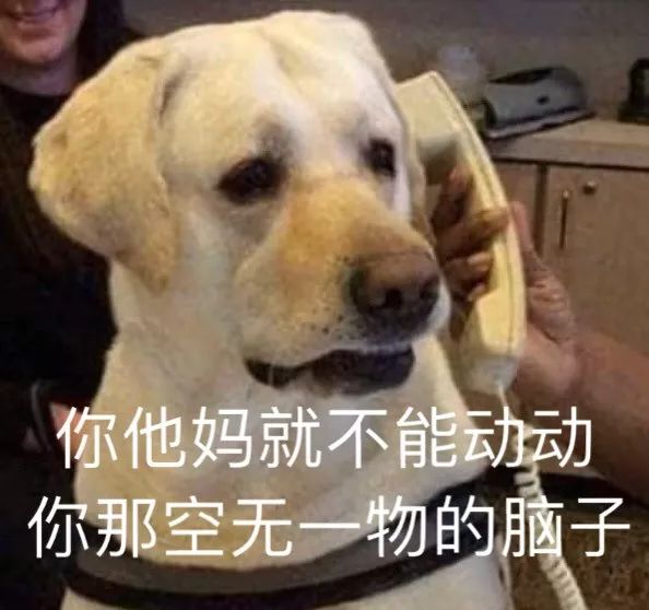 沙雕表情包