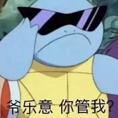 神奇宝贝杰尼龟表情包