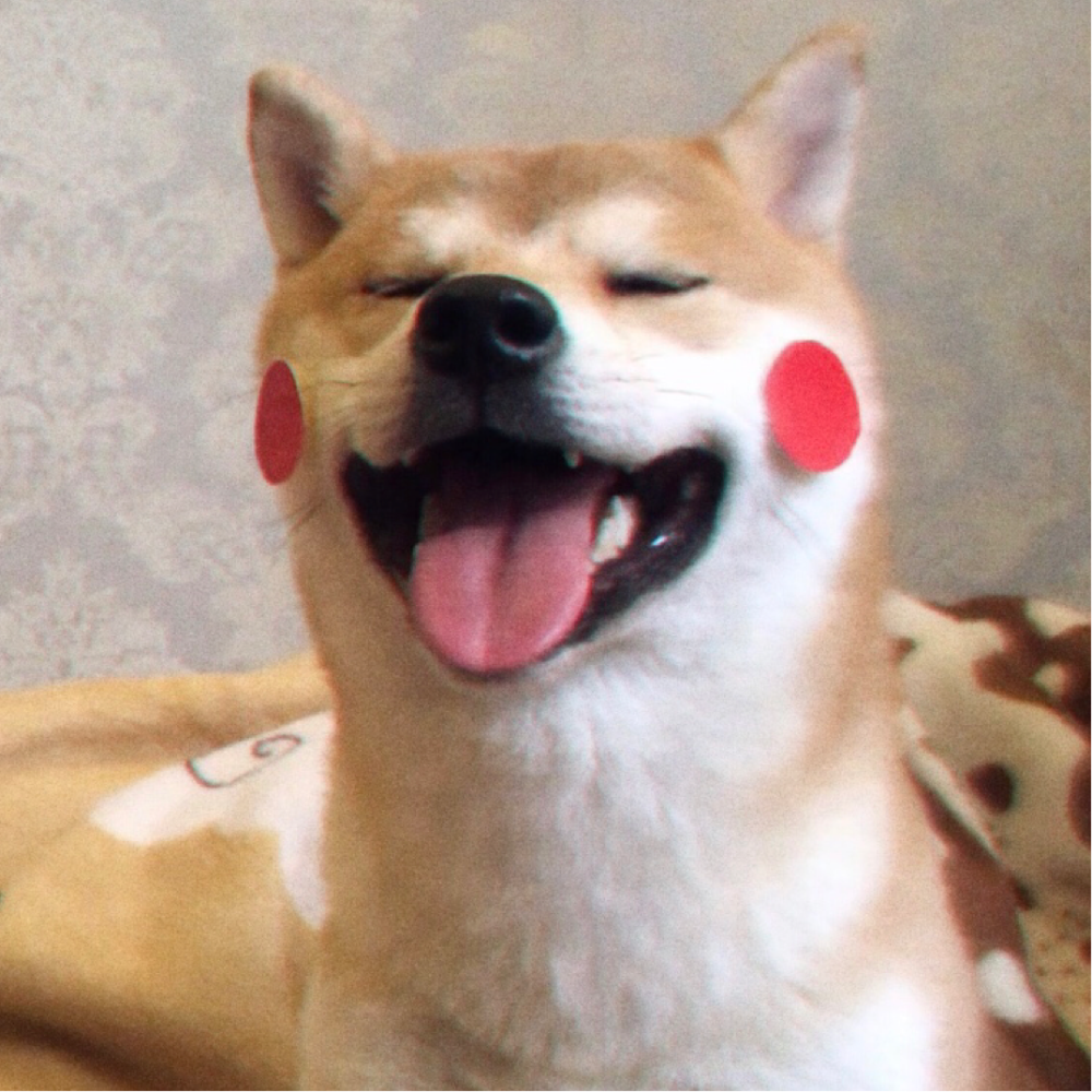 日本秋田犬头像图片