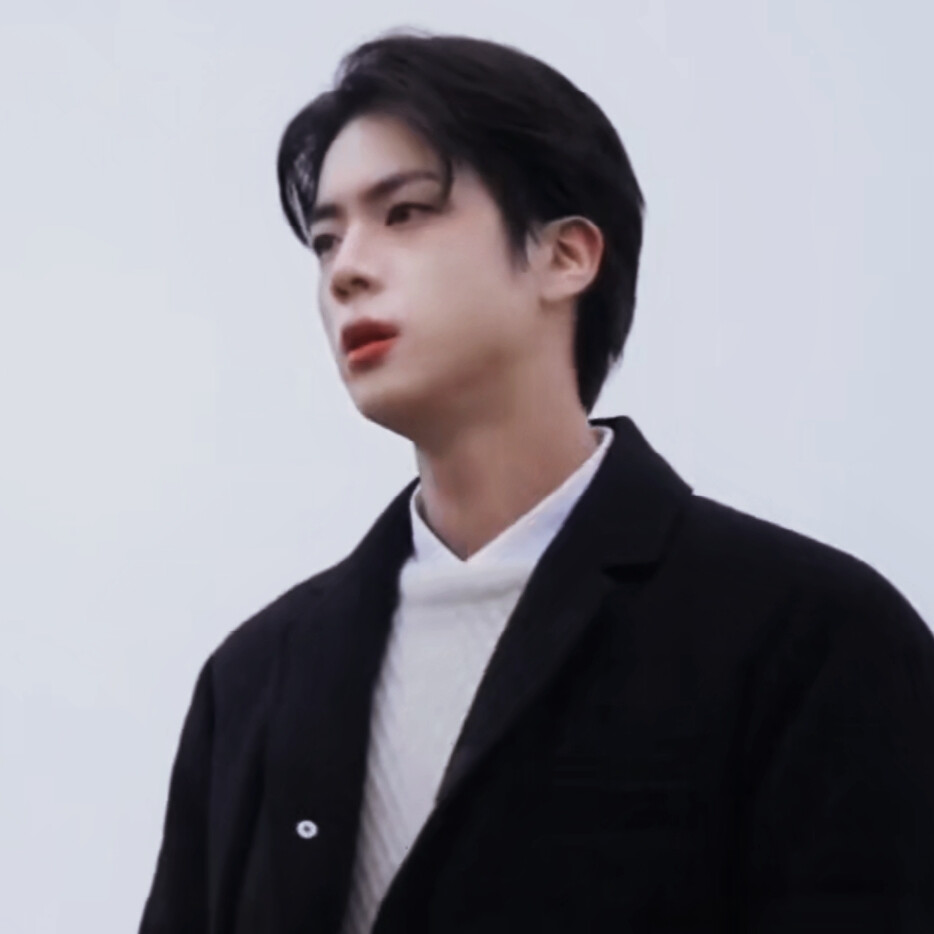 bts 金硕珍自截头像