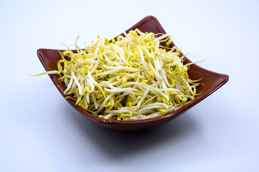 豆芽 豆芽菜 蔬菜 植物 菜蔬 黄豆芽 水泡 泡制 发芽 食物 食材 食品