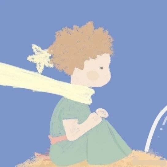 狐狸或是玫瑰的共同点,是在于她们都是爱小王子的,不论她们在小王子