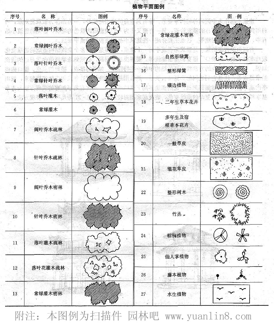 常见植物平面图例手绘图片