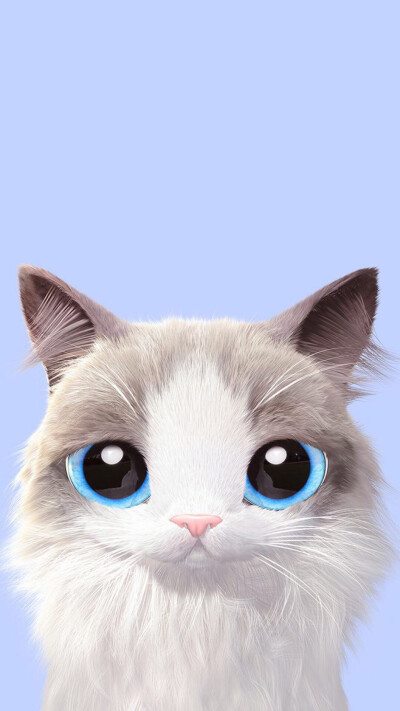 可爱小猫咪壁纸腮红