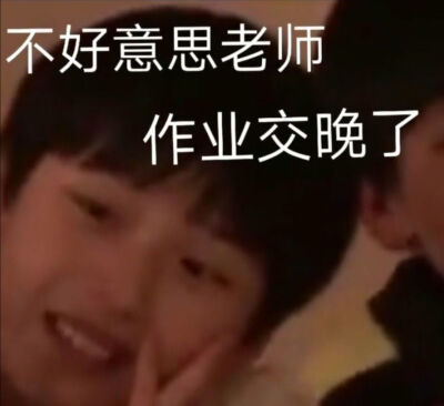 网课表情包