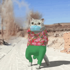 mur猫表情包 - 堆糖,美图壁纸兴趣社区