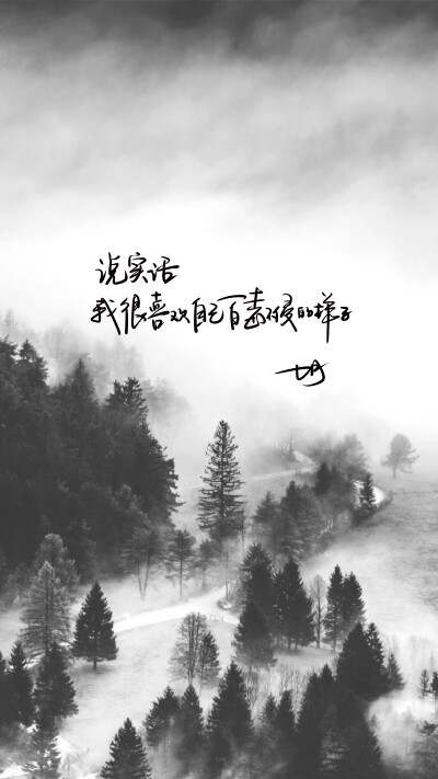 封面文案