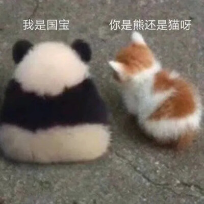 正经人的不正经表情包