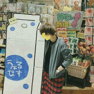 wolpis kater(社长)