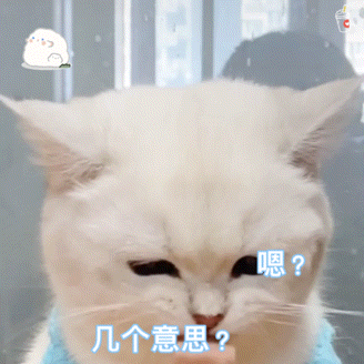 猫猫怕怕表情包