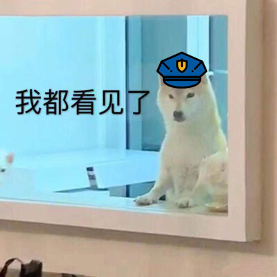 表情包 警察