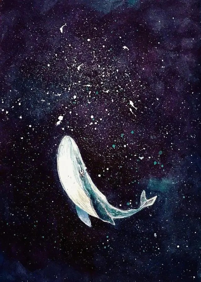 水彩星空蓝鲸图片