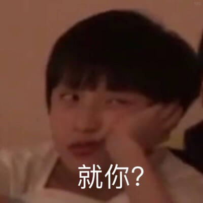 tf家族