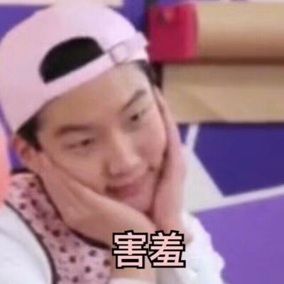 winner表情包