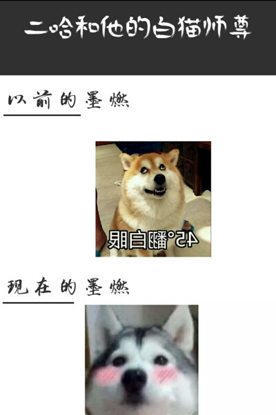 原耽表情包以前的他和现在的他 id:canghaiyixiao274