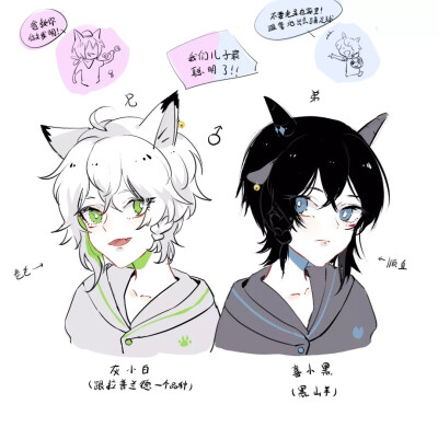 图源lof@v_繁花落幕