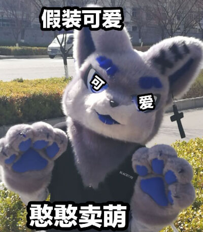 兽装