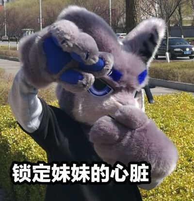 兽装 表情包