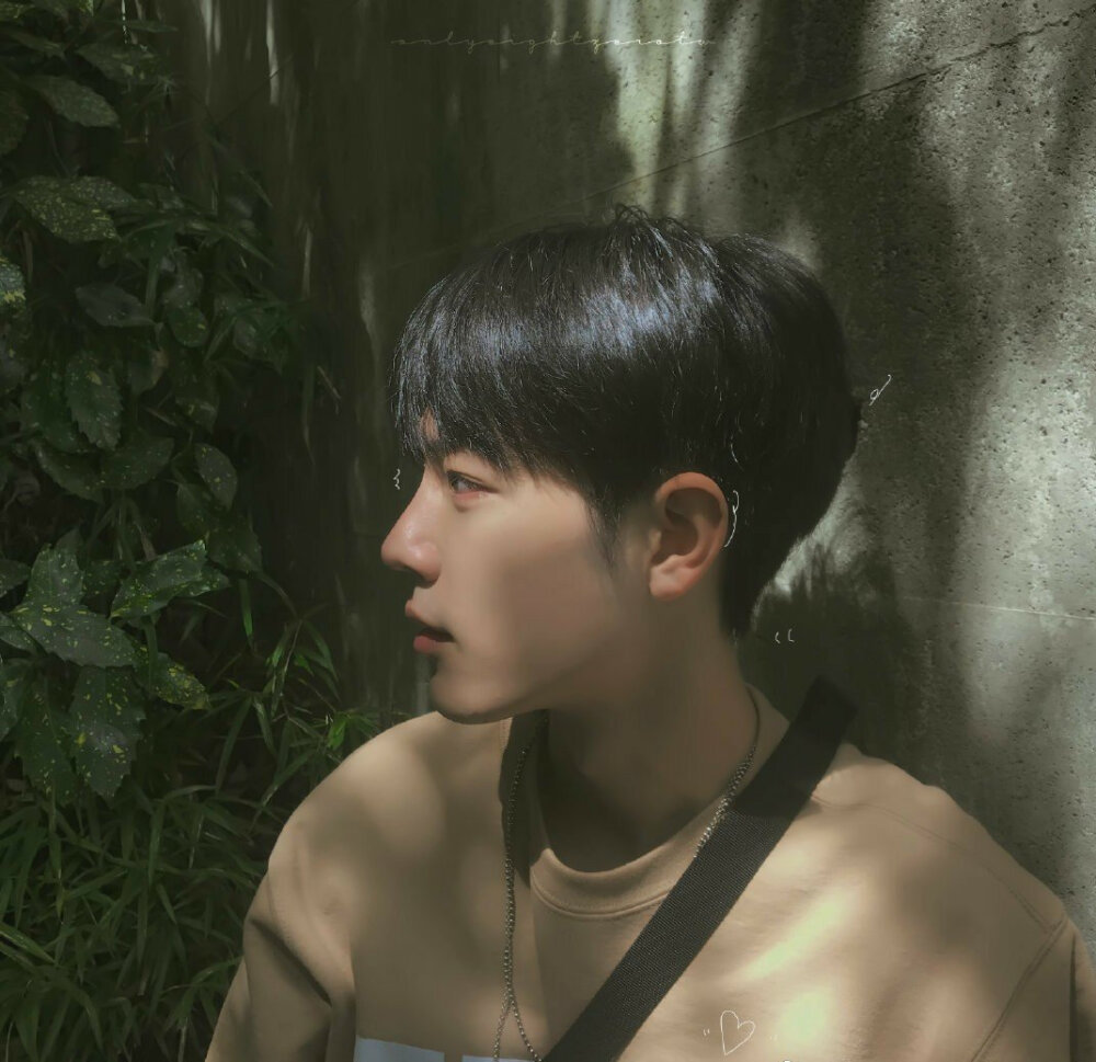 肖战 头像 侵删