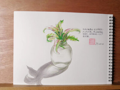 彩铅 玻璃瓶