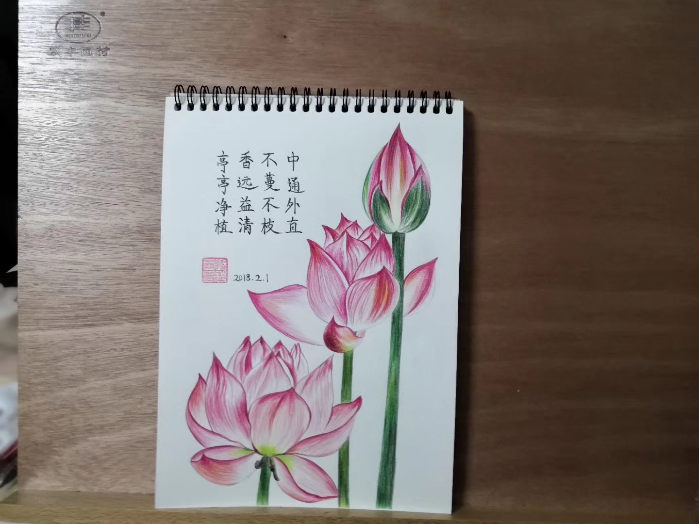 彩铅简笔画荷花图片