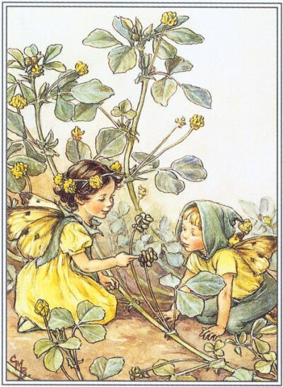 蜚声全球的花仙子插画师:cicely mary barker
