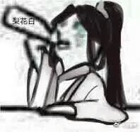 二哈和他的白猫师尊