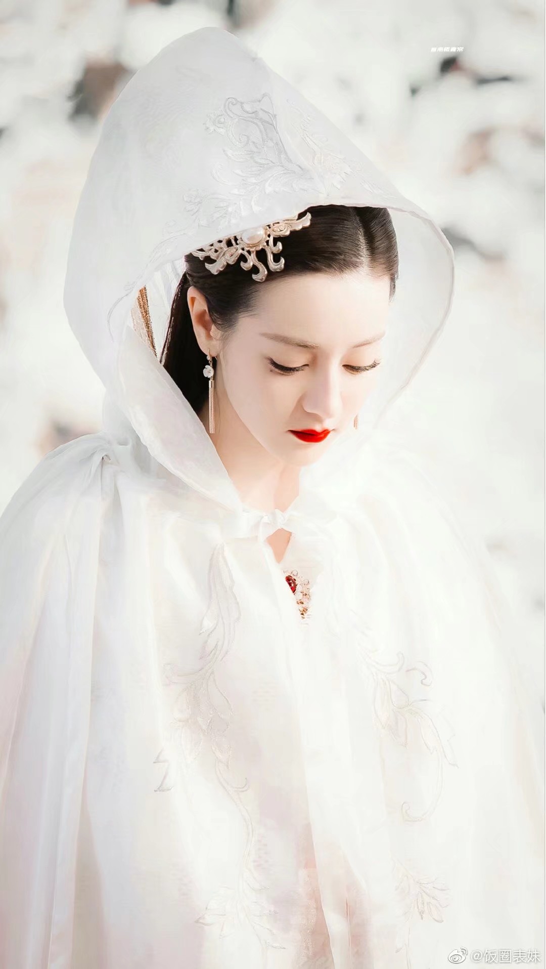 枕上书 白凤九 迪丽热巴