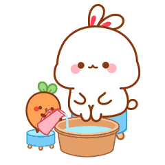 240_240gif 动态图 动图