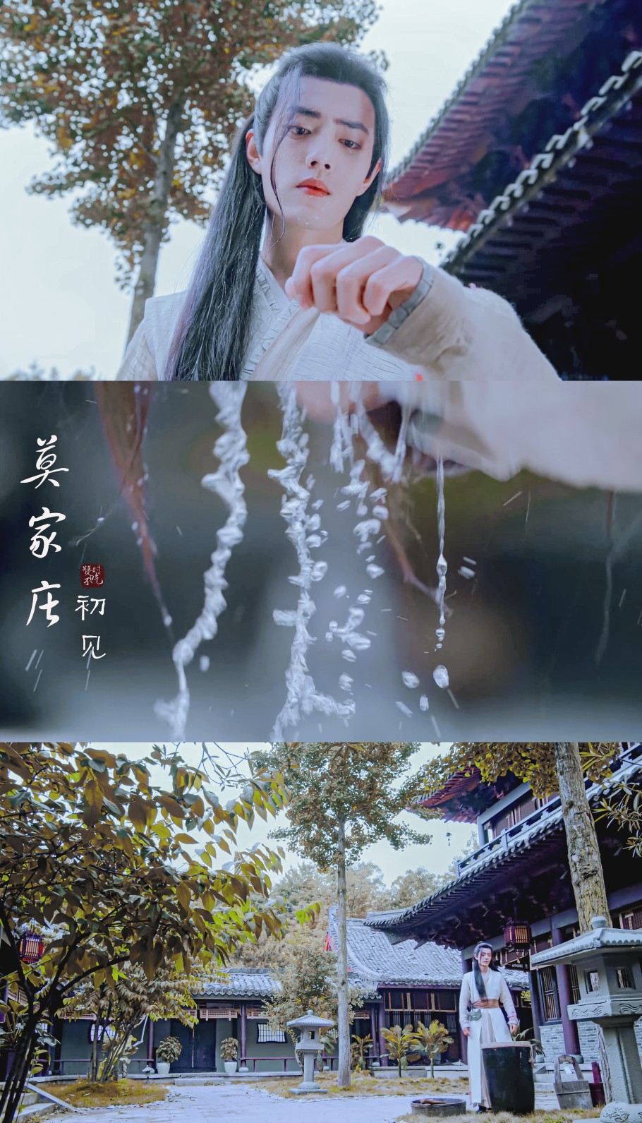 陈情令 