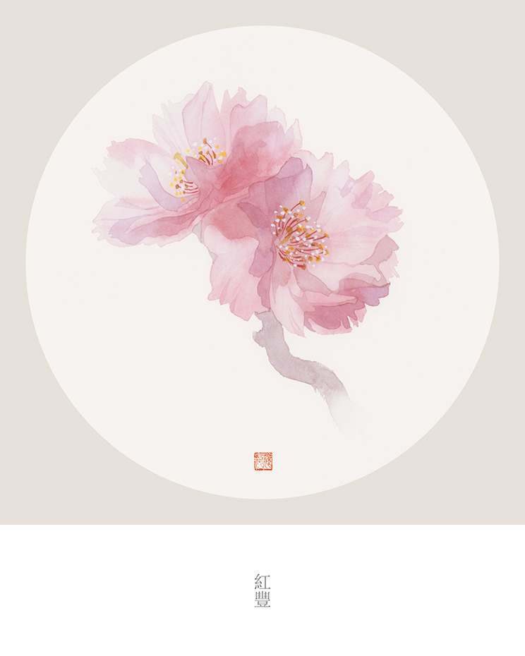 插画鹿菏he