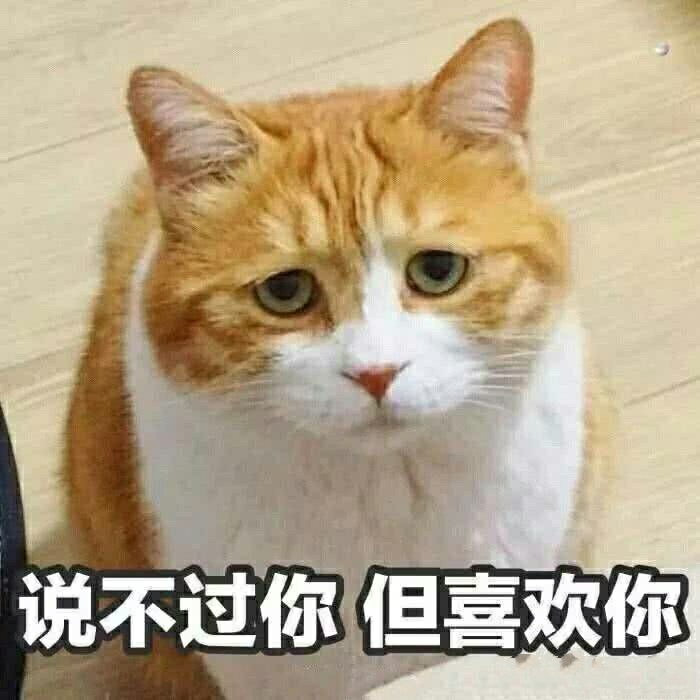 情侣撩汉可爱撒娇表情包