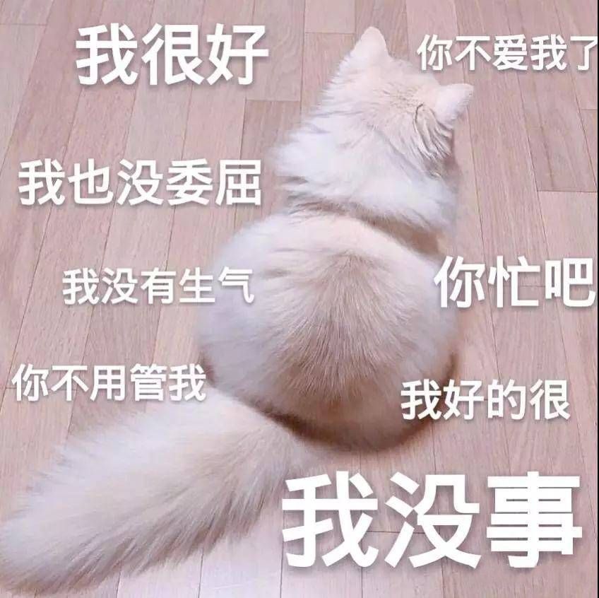 情侣撩汉可爱沙雕撒娇表情包