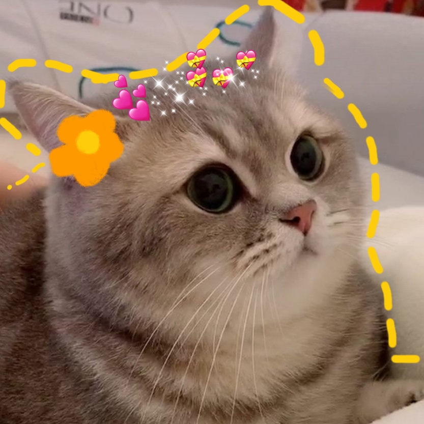 自制猫咪头像哦 顺便也推广一下微博@熊仔是喵喵