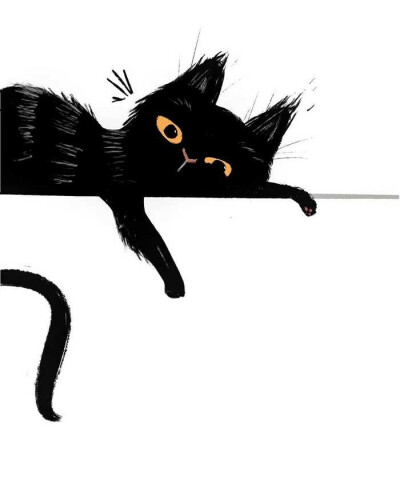 猫咪
