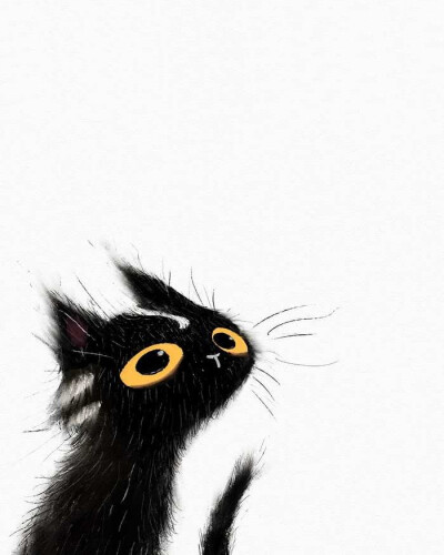 猫咪