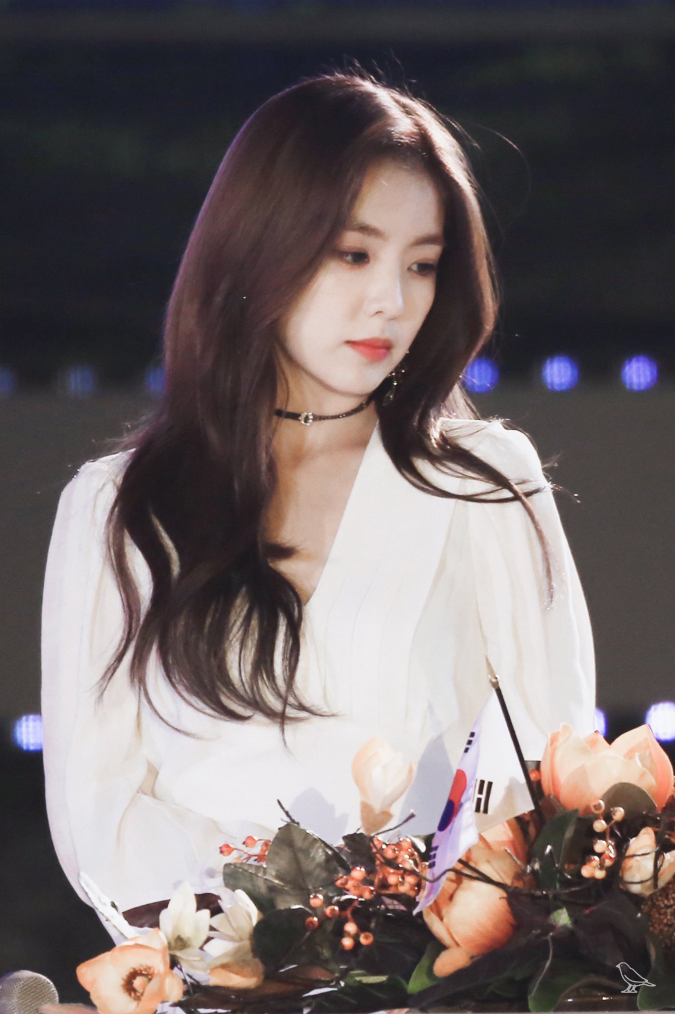 red velvet  irene