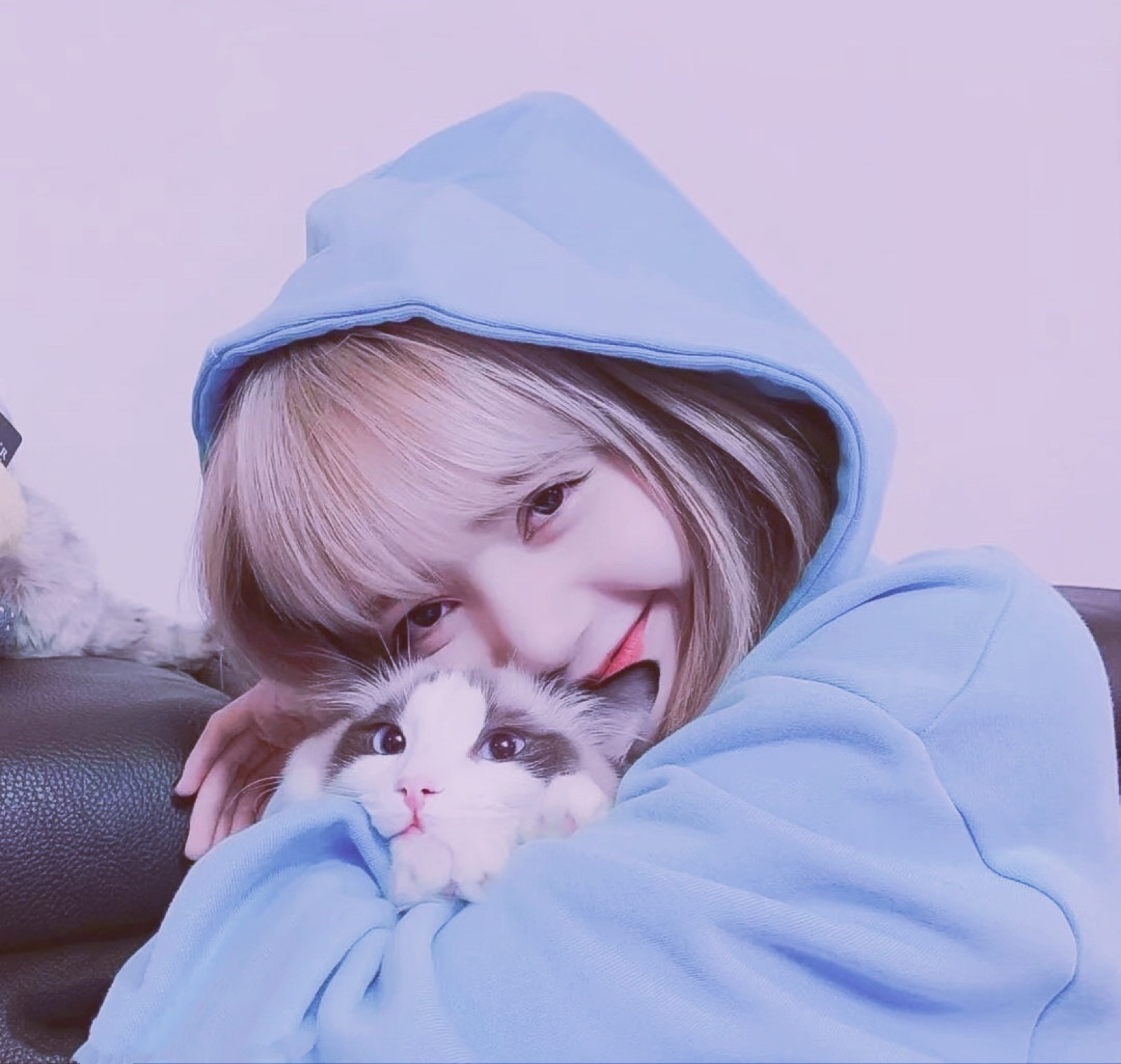 lisa与猫猫三人闺蜜头/头像